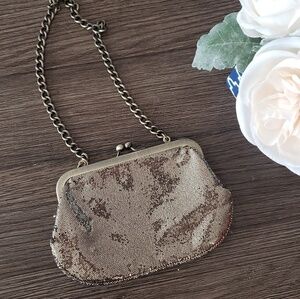 Express clutch purse